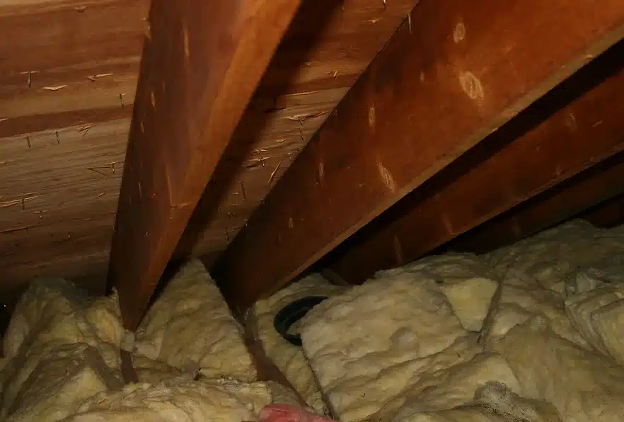 Insulation in attic